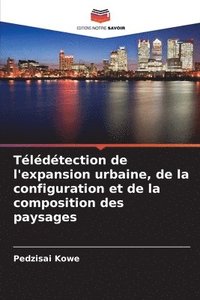 bokomslag Tldtection de l'expansion urbaine, de la configuration et de la composition des paysages