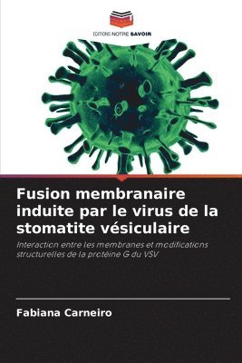 Fusion membranaire induite par le virus de la stomatite vsiculaire 1
