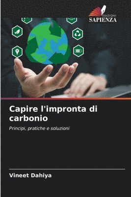 bokomslag Capire l'impronta di carbonio