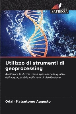 bokomslag Utilizzo di strumenti di geoprocessing