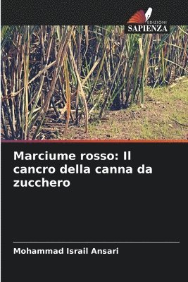 Marciume rosso 1