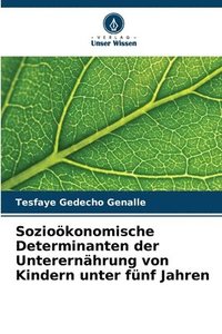 bokomslag Sozioökonomische Determinanten der Unterernährung von Kindern unter fünf Jahren