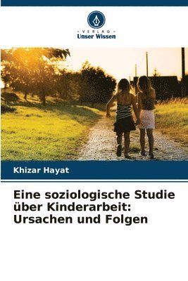 bokomslag Eine soziologische Studie ber Kinderarbeit