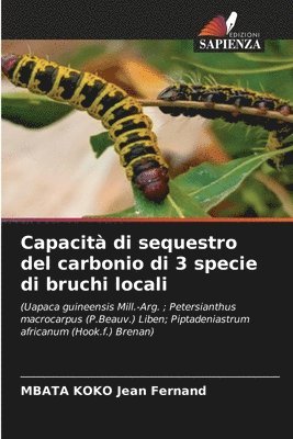 bokomslag Capacit di sequestro del carbonio di 3 specie di bruchi locali