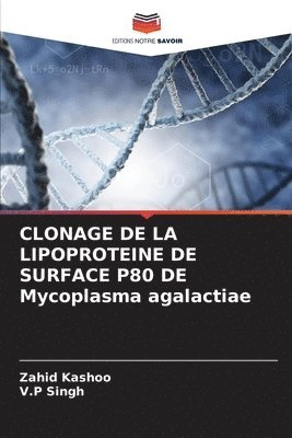 CLONAGE DE LA LIPOPROTEINE DE SURFACE P80 DE Mycoplasma agalactiae 1