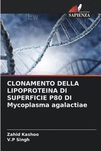 bokomslag CLONAMENTO DELLA LIPOPROTEINA DI SUPERFICIE P80 DI Mycoplasma agalactiae