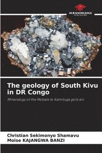 bokomslag The geology of South Kivu in DR Congo