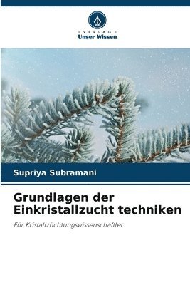 Grundlagen der Einkristallzucht techniken 1