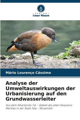 bokomslag Analyse der Umweltauswirkungen der Urbanisierung auf den Grundwasserleiter