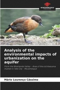 bokomslag Analysis of the environmental impacts of urbanization on the aquifer