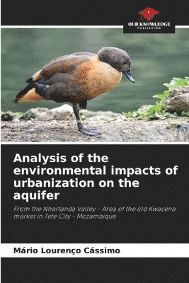 bokomslag Analysis of the environmental impacts of urbanization on the aquifer