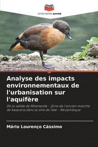 bokomslag Analyse des impacts environnementaux de l'urbanisation sur l'aquifre
