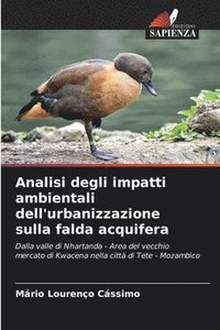 bokomslag Analisi degli impatti ambientali dell'urbanizzazione sulla falda acquifera