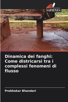 Dinamica dei fanghi 1