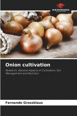 Onion cultivation 1