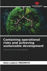 bokomslag Containing operational risks and achieving sustainable development