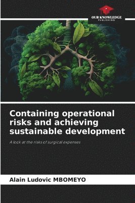 Containing operational risks and achieving sustainable development 1