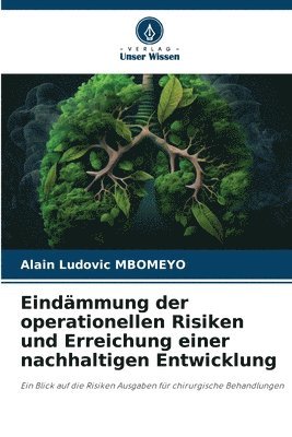 bokomslag Eindmmung der operationellen Risiken und Erreichung einer nachhaltigen Entwicklung