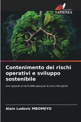 bokomslag Contenimento dei rischi operativi e sviluppo sostenibile