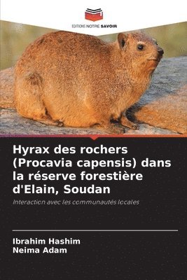 Hyrax des rochers (Procavia capensis) dans la rserve forestire d'Elain, Soudan 1
