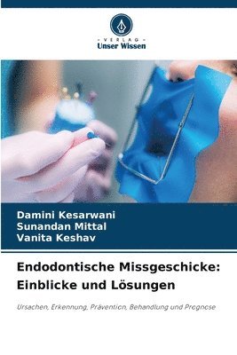 bokomslag Endodontische Missgeschicke