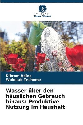 bokomslag Wasser ber den huslichen Gebrauch hinaus