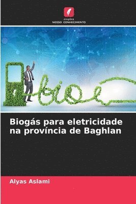 Biogs para eletricidade na provncia de Baghlan 1