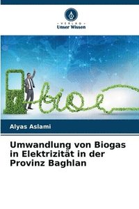 bokomslag Umwandlung von Biogas in Elektrizitt in der Provinz Baghlan