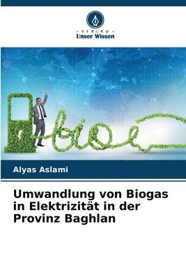 Umwandlung von Biogas in Elektrizitt in der Provinz Baghlan 1