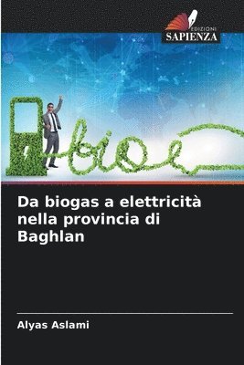 Da biogas a elettricit nella provincia di Baghlan 1