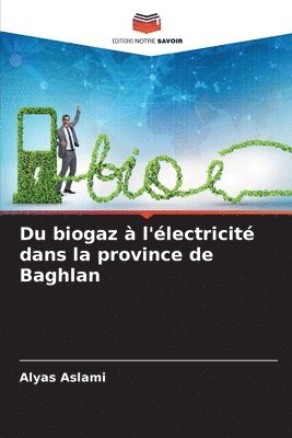 Du biogaz  l'lectricit dans la province de Baghlan 1