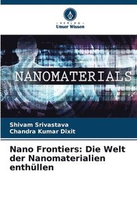 bokomslag Nano Frontiers
