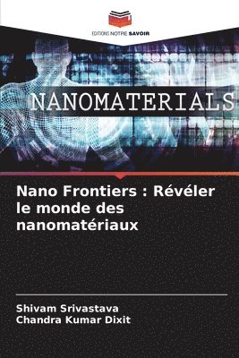 bokomslag Nano Frontiers