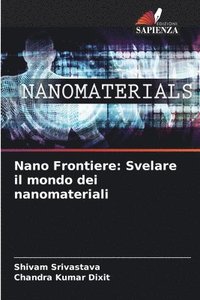 bokomslag Nano Frontiere