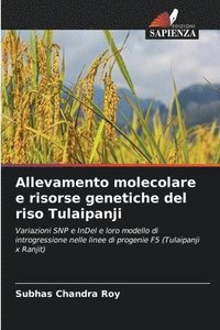 bokomslag Allevamento molecolare e risorse genetiche del riso Tulaipanji