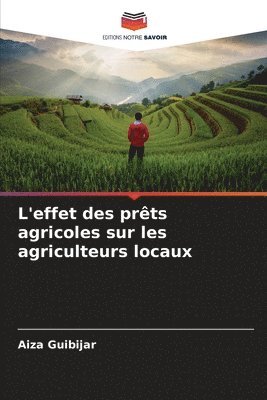 bokomslag L'effet des prts agricoles sur les agriculteurs locaux