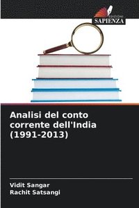 bokomslag Analisi del conto corrente dell'India (1991-2013)