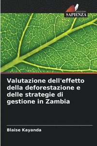 bokomslag Valutazione dell'effetto della deforestazione e delle strategie di gestione in Zambia