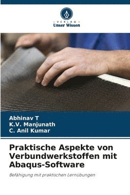 Praktische Aspekte von Verbundwerkstoffen mit Abaqus-Software 1