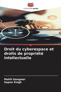bokomslag Droit du cyberespace et droits de proprit intellectuelle