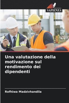 bokomslag Una valutazione della motivazione sul rendimento dei dipendenti