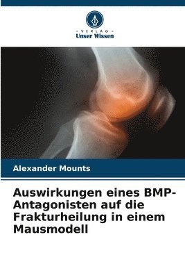 bokomslag Auswirkungen eines BMP-Antagonisten auf die Frakturheilung in einem Mausmodell