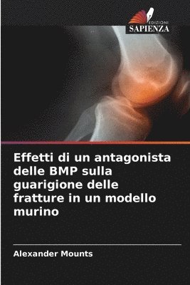 bokomslag Effetti di un antagonista delle BMP sulla guarigione delle fratture in un modello murino