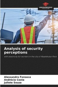 bokomslag Analysis of security perceptions