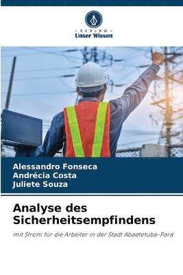 bokomslag Analyse des Sicherheitsempfindens