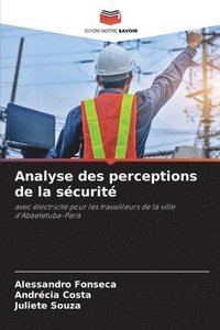 bokomslag Analyse des perceptions de la scurit