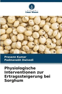 bokomslag Physiologische Interventionen zur Ertragssteigerung bei Sorghum