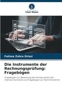 bokomslag Die Instrumente der Rechnungsprfung