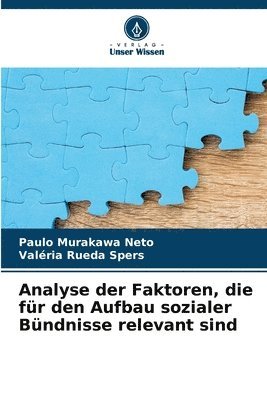 bokomslag Analyse der Faktoren, die fr den Aufbau sozialer Bndnisse relevant sind