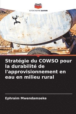 Stratgie du COWSO pour la durabilit de l'approvisionnement en eau en milieu rural 1